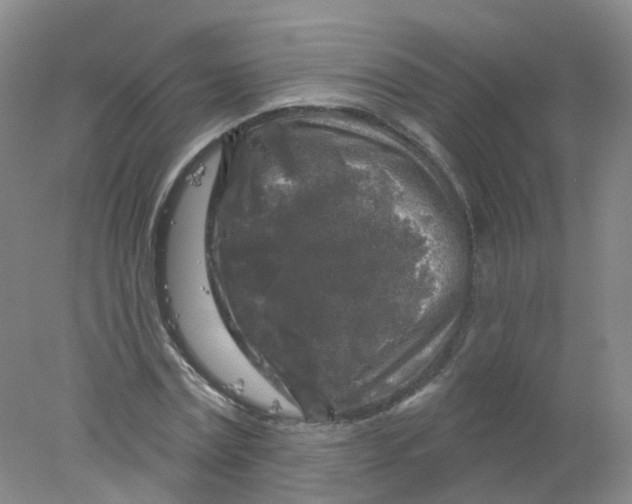 X0000078310779200611172214