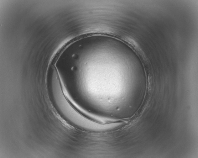 X0000078310780200611172214