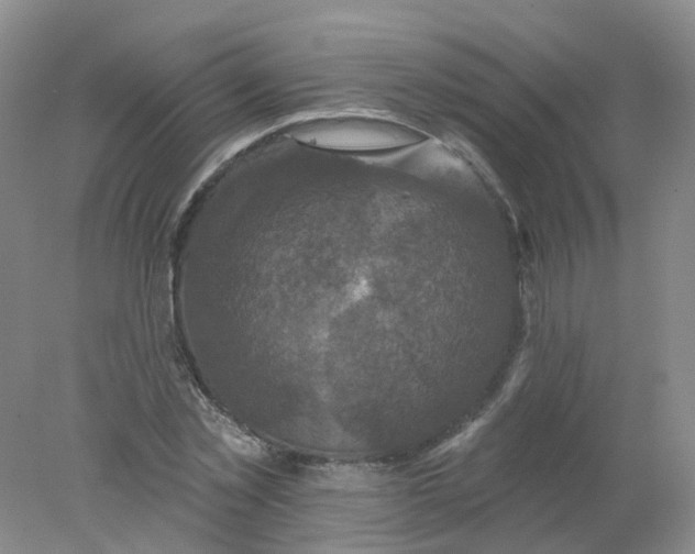 X0000078310781200611172214