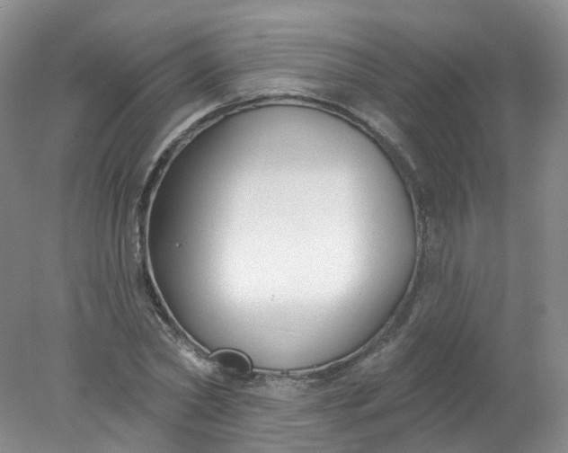 X0000078310782200611172214