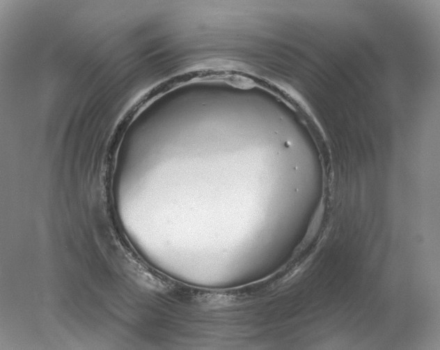 X0000078310783200611172214