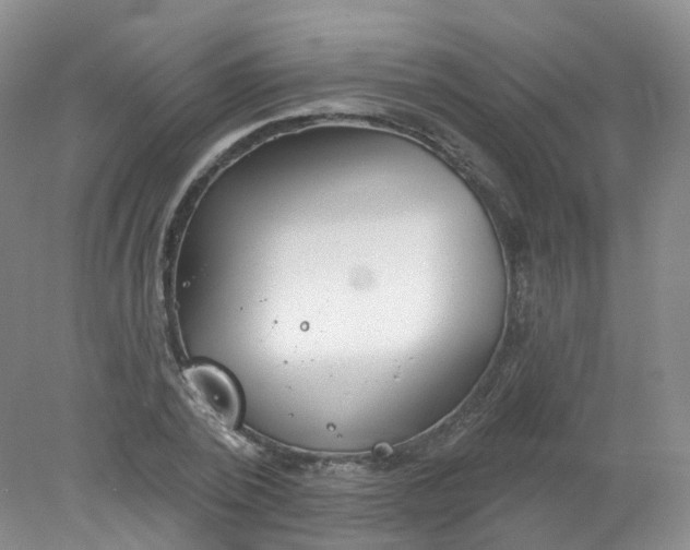 X0000078310784200611172214