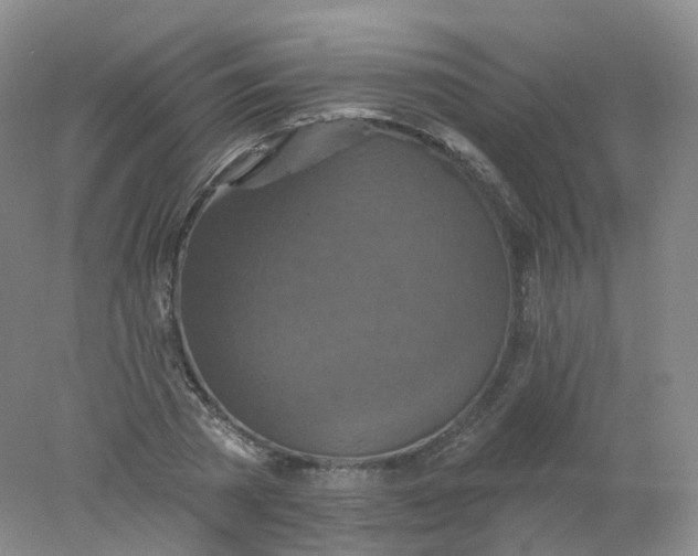 X0000078310785200611172213