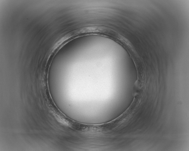 X0000078310786200611172213