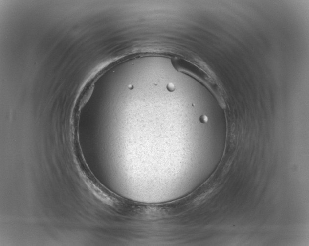 X0000078310787200611172213