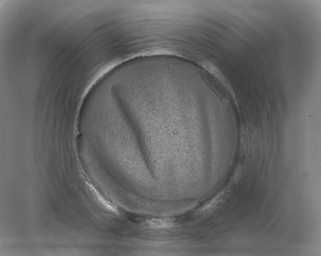 X0000078310789200611172213