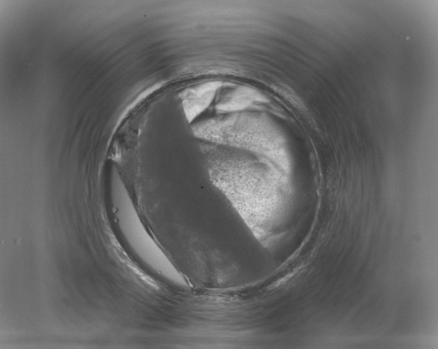 X0000078310790200611172213