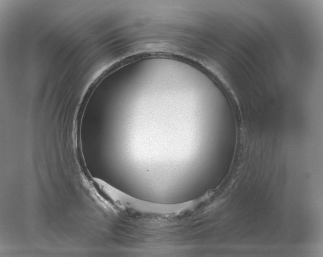 X0000078310791200611172213