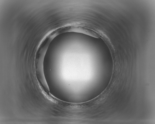 X0000078310792200611172213