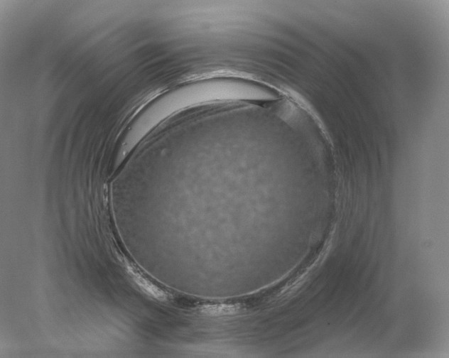 X0000078310793200611172213