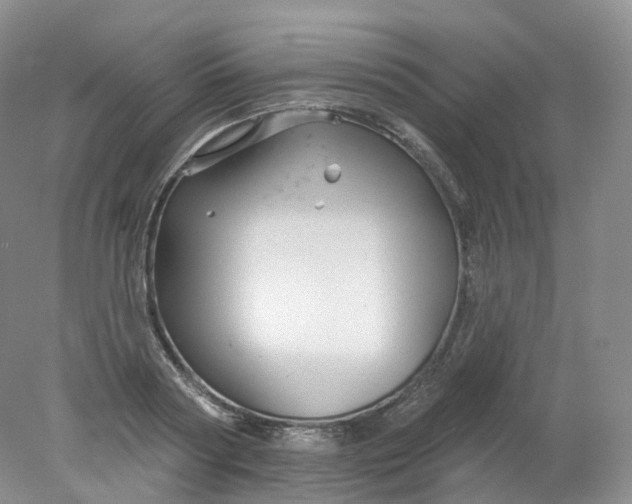 X0000078310794200611172213