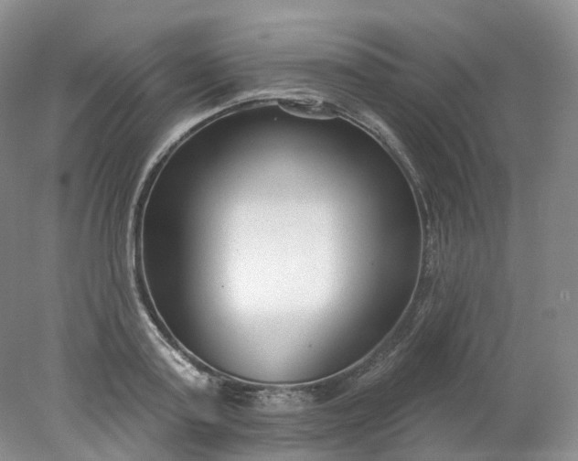 X0000078310795200611172213