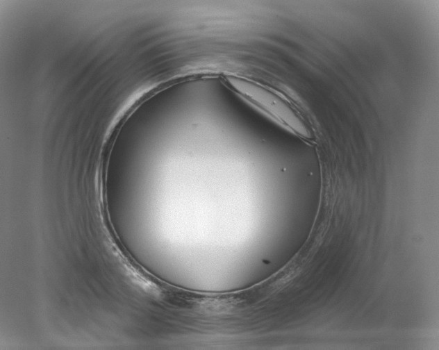 X0000078310796200611172213