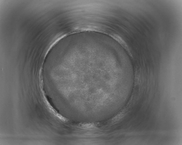 X0000078310798200611172213