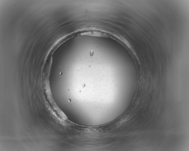 X0000078310799200611172213