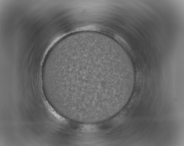 X0000078310800200611172213