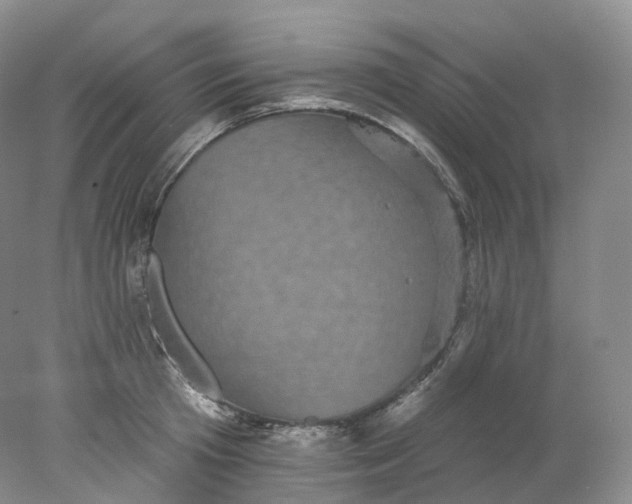 X0000078310801200611172213