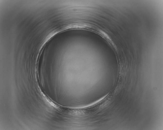 X0000078310802200611172213