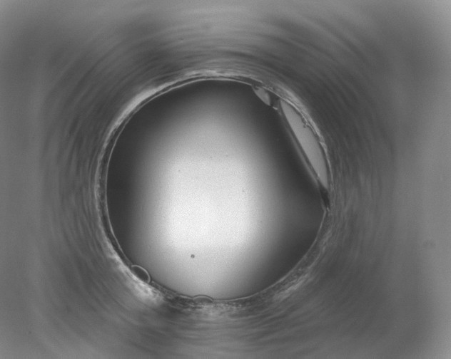 X0000078310803200611172213