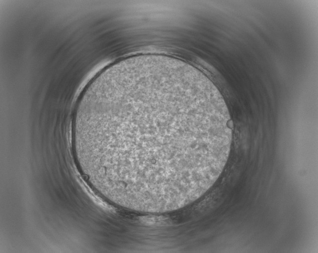 X0000078310804200611172213