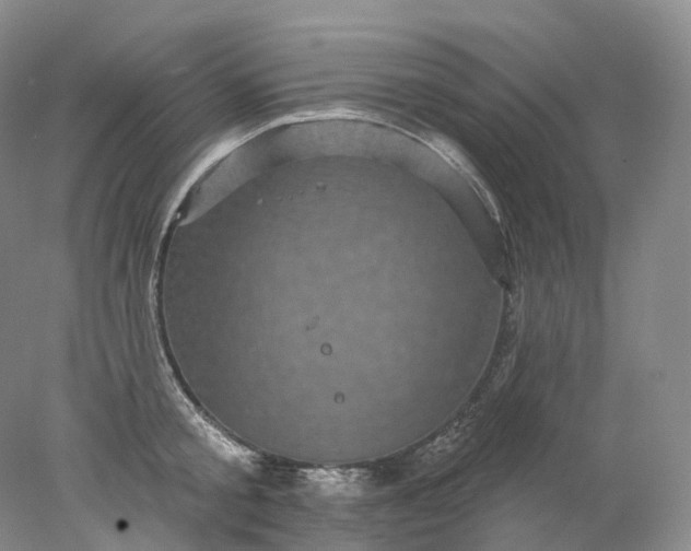 X0000078310805200611172213