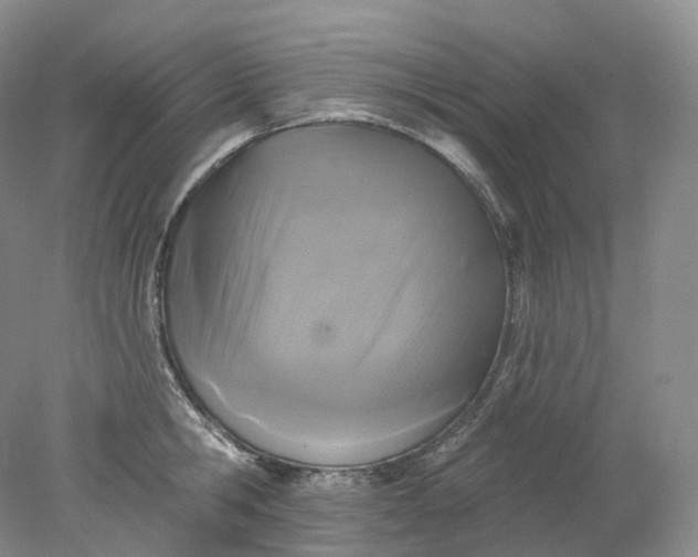 X0000078310806200611172213