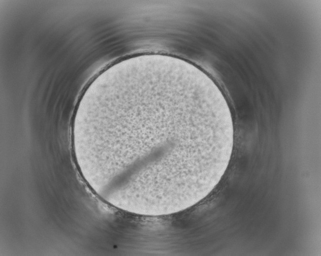 X0000078310807200611172213