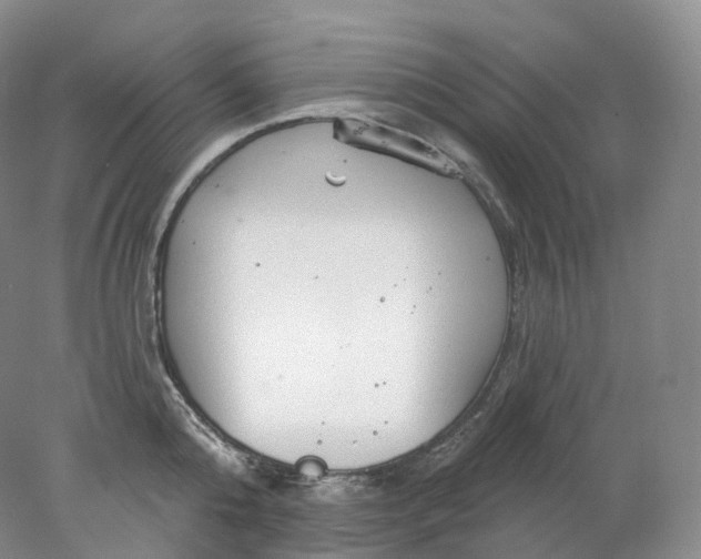 X0000078310808200611172213