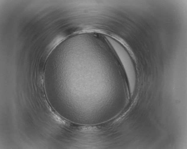 X0000078310809200611172213