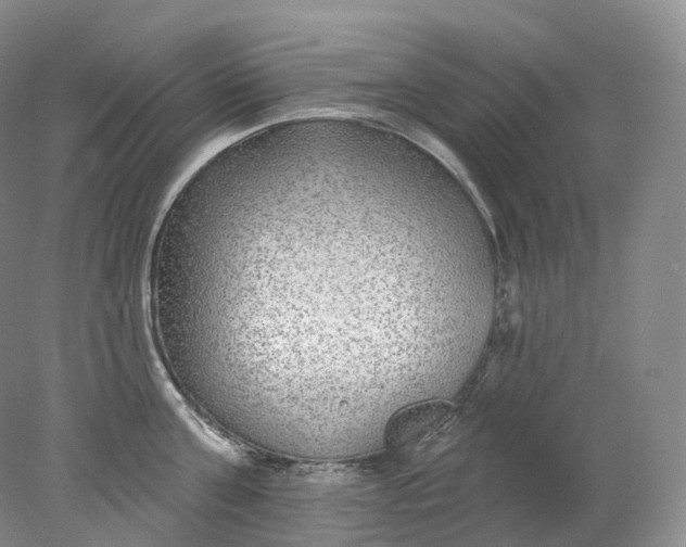 X0000078310811200611172213