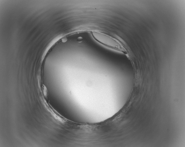 X0000078310812200611172213