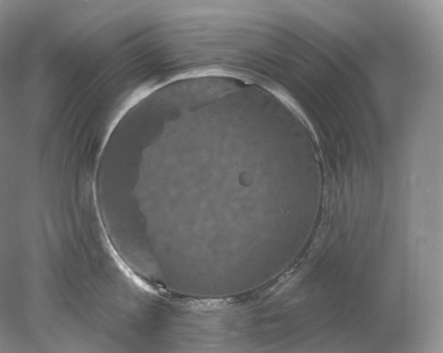 X0000078310813200611172213