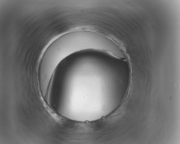 X0000078310816200611172213