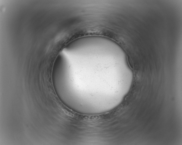 X0000078310817200611172212