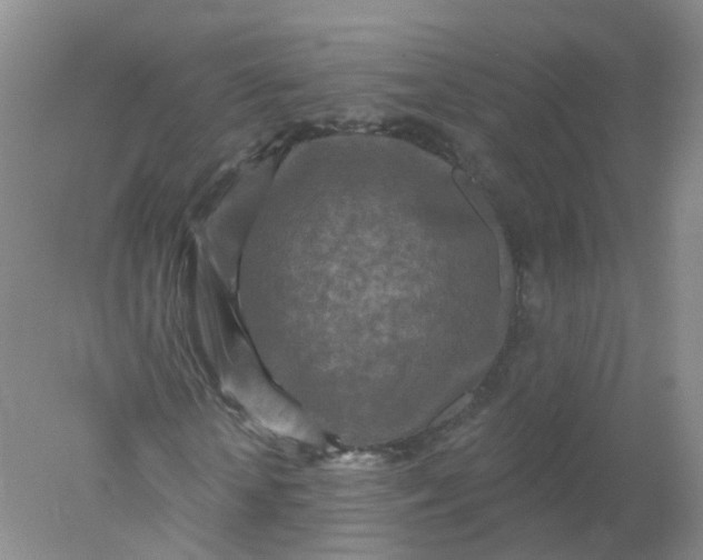 X0000078310818200611172212