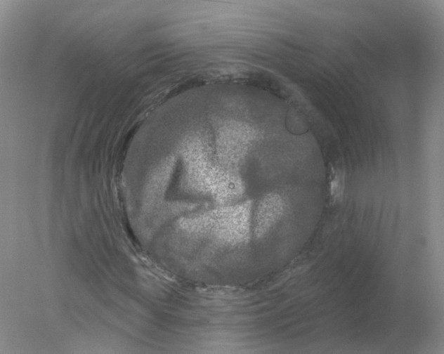 X0000078310819200611172212