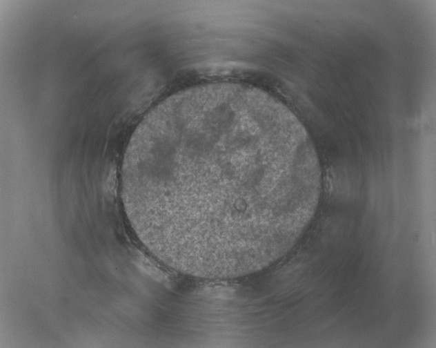 X0000078310820200611172212