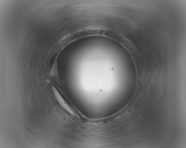 X0000078310821200611172212