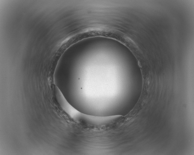 X0000078310822200611172212