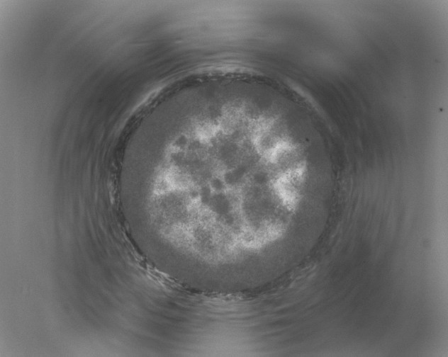 X0000078310823200611172212