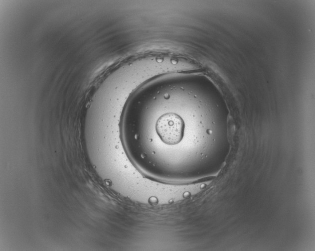 X0000078310824200611172212