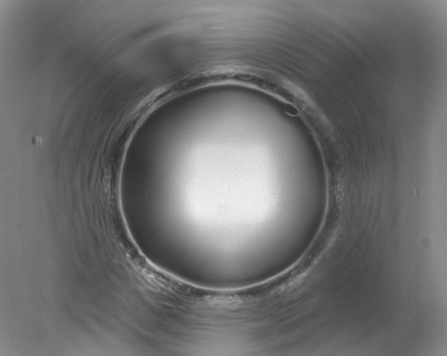 X0000078310825200611172212