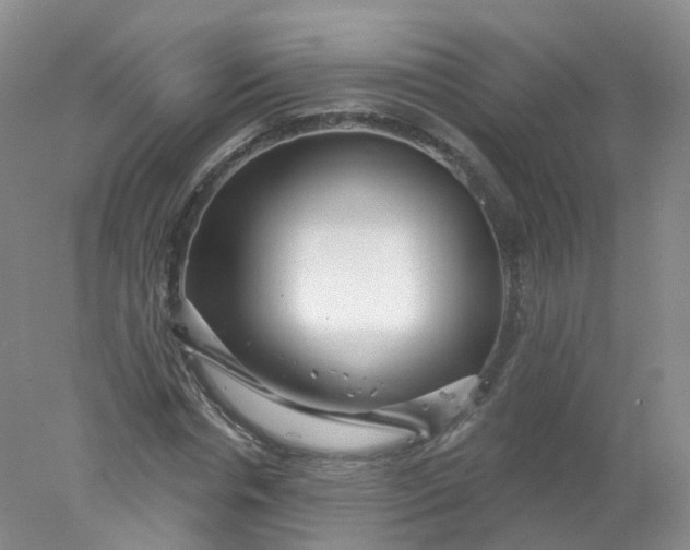 X0000078310826200611172212