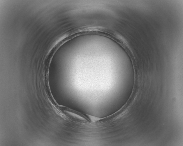 X0000078310827200611172212