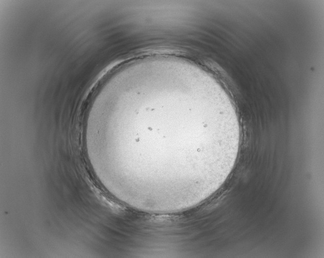 X0000078310828200611172212