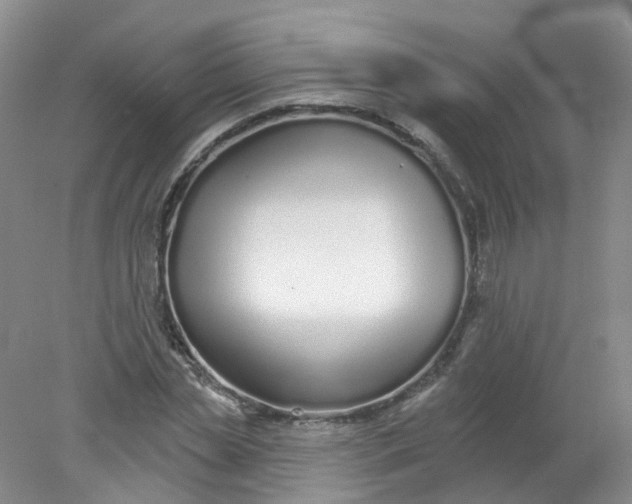 X0000078310829200611172212