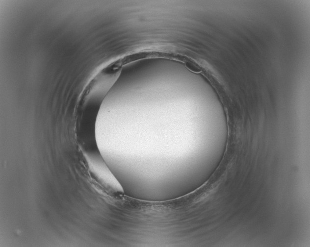 X0000078310830200611172212