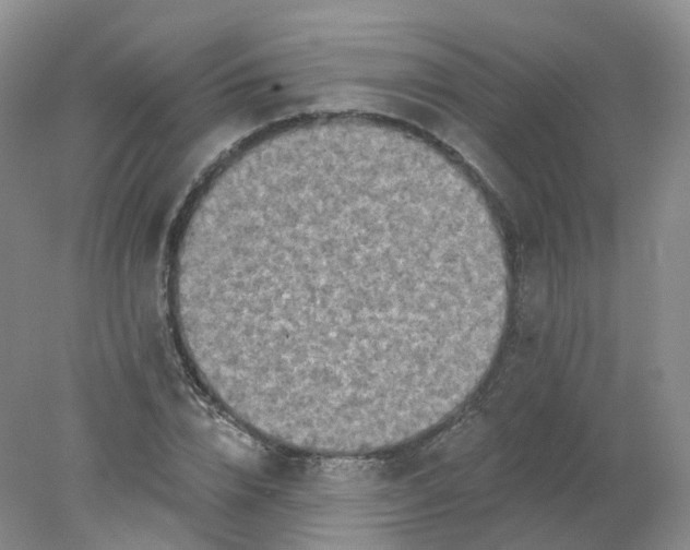 X0000078310832200611172212