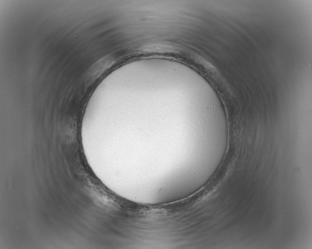 X0000078310833200611172212