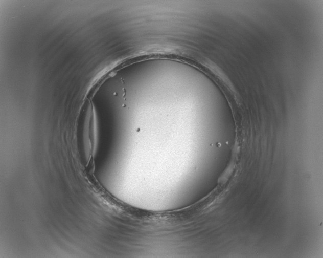 X0000078310834200611172212